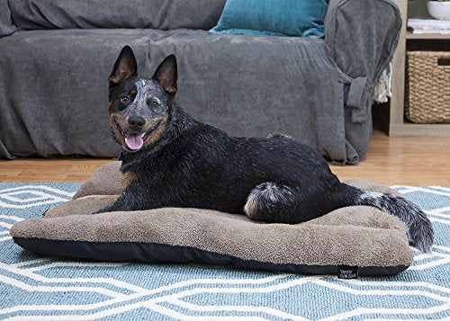 SportPet Designs Waterproof Pet Bed - Fits SportPet Plastic Dog Kennel, 36 inches - color: XXL - 36"
