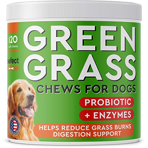 PAWFECTCHEW Dog Pee Grass Helper - Grass Treatment for Dog Urine - Dog Urine Neutralizer for Grass Burn Spots - Dog Pee Lawn Repair Treats with Probiotics - Made in USA - 120 Chews - size: 120 Chews