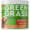 PAWFECTCHEW Dog Pee Grass Helper - Grass Treatment for Dog Urine - Dog Urine Neutralizer for Grass Burn Spots - Dog Pee Lawn Repair Treats with Probiotics - Made in USA - 120 Chews - size: 120 Chews