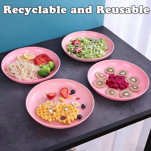 Wheat Straw Plates Unbreakable Dinner Plates Set of 6, Reusable Lightweight Plastic Plate for Camping Kitchen, Microwave and Dishwasher Safe (Pink) - color: 6 Pink
