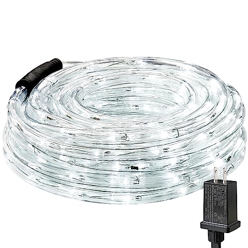 Lighting EVER 33ft 240 LED Outdoor Rope Lights Cool White 6000K, 24 V Connectable, Waterproof Clear Tube String Lights for Deck Railing, Patio Ground, Garden, Yard Lawn, Flower Bed Landscape, Camping - color: Cool White