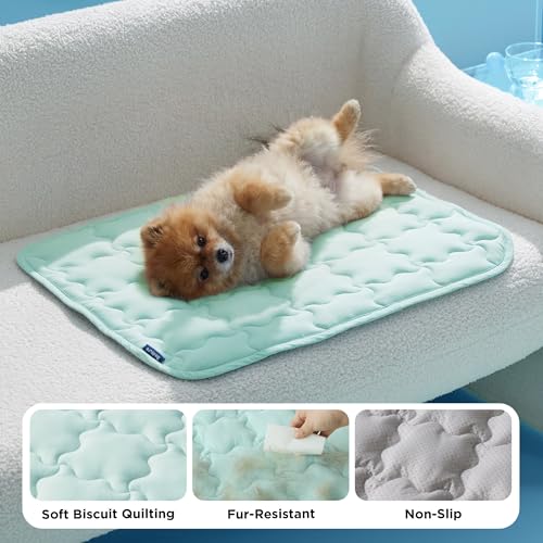Bedsure Cooling Dog Mat Extra Large, Q-Max>0.5 XL Thin Breathable Cold Crate Pad for Pet, Portable Washable Kennel Bed for Summer Active Dog with Chill Soothing Fabric to Rapid Cooling,41x28, Green - color: Light Green, size: 41" x 28" (XL-Crate)