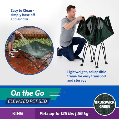 Coolaroo On-The-Go Elevated Dog Bed - Foldable Pop-Up Travel Dog Bed with Breathable, Moisture-Resistant Fabric, Carry Bag Included, Lightweight & Portable, Brunswick Green, Extra Large - color: Brunswick Green, style: King