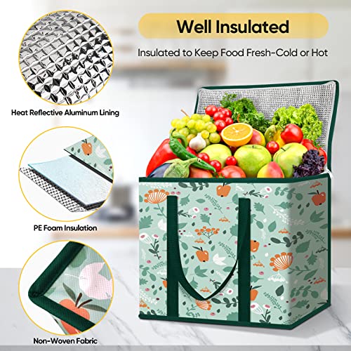 BALEINE 2Pk Insulated Reusable Grocery Bags, Collapsible Cooler Bag for Groceries, Heavy Duty Large Insulated Bag (16''x9''x13'', Spring Stroll) - color: Spring Stroll