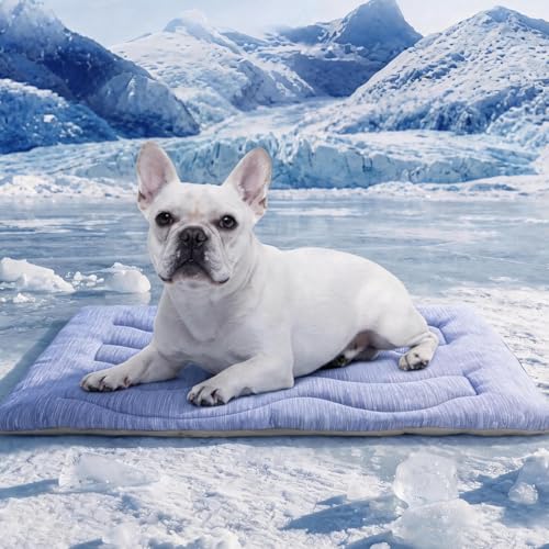 Dog Cooling Mat, Portable & Durable Cooling Mat for Dogs, Physical Heat Absorption, Anti-Slip Cooling Bed for S-Medium Dogs up to 35 lbs (French Bulldog, Beagle, Corgi), 32x20 inches, Blue Wave - color: Blue, size: Medium