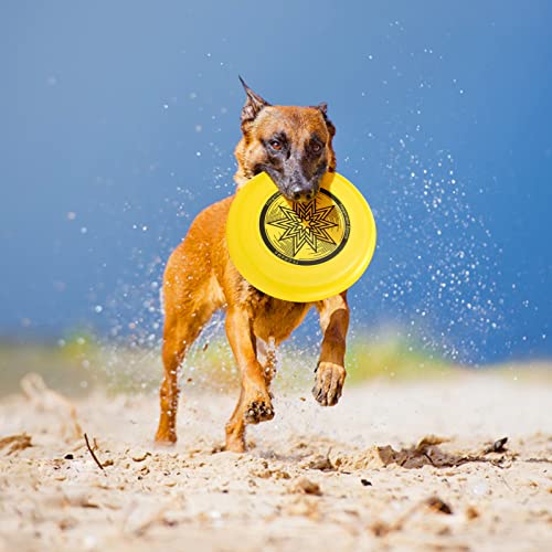 Eastgoing Outdoor Flying Disc 175 Gram, 10.75 Inch Sport Disc ，Loads of Colors Available, Suitable for Competitions, Team Flying Disc for Beach, Park, Pet, Camping and More, - color: Assorted Colors