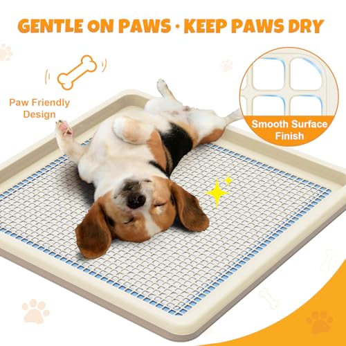 Dog Pee Pad Holder for Small and Medium Dogs, Two-Layer Mesh Dog Potty Tray, Indoor Puppy Pad Holder for Potty Training, Gentle on Paws, Easy-Clean Leak-Resistant Fits 22 × 22 Inches Pee Pads