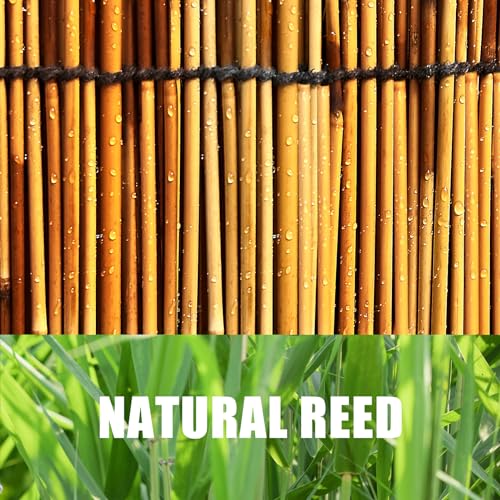 2 Pack Natural Reed Fencing 6FT X 6.6FT Reed Fence 6FT High Balcony Reed Fence Privacy Reed Screen for Outdoor Backyard Patio(Brown) - size: 2 Pack 6FT×6.6FT