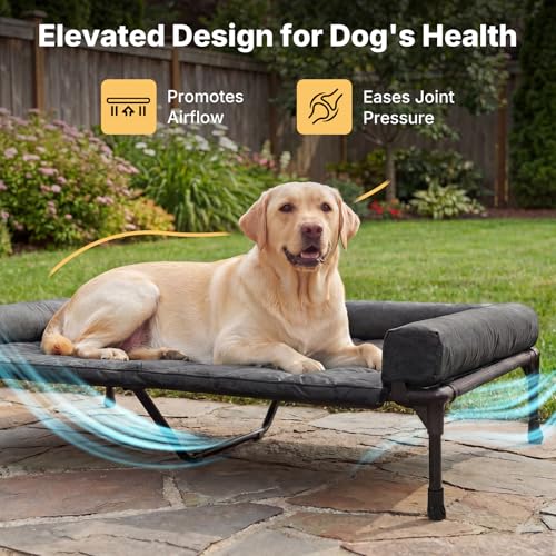 Veehoo Cooling Elevated Dog Bed Add Removable Waterproof Bolster Cushion Mat, Raised Pet Cot with Breathable Teslin Mesh, No-Slip Feet, Dog Couch Bed for Indoor Outdoor, 53 inches, Black - color: Black, size: 53.0"L x 37.5"W x 9.0"Th