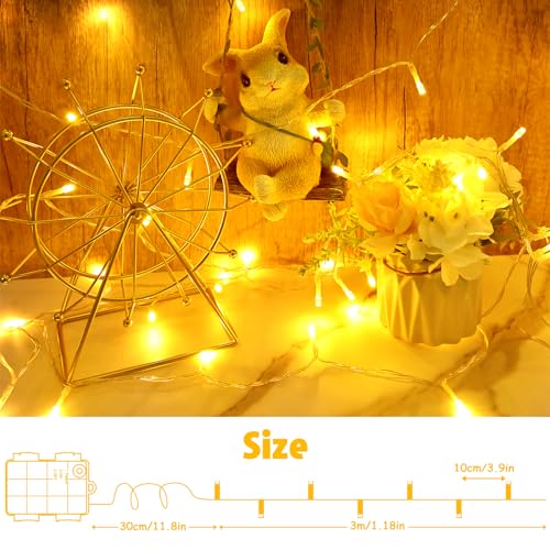 cshare String Lights Outdoor Waterproof 9.8ft 30 LED, Warm White Fairy Lights Battery Operated with Timer Clear Wire for Indoor & Outdoor Decorations Garland Party Garden - color: Warm White