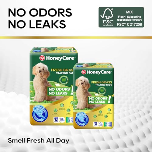 HoneyCare Fresh Grass Print/Scent All Absorb XL Training Pads, 26x30, 40 Ct - size: Extra Large