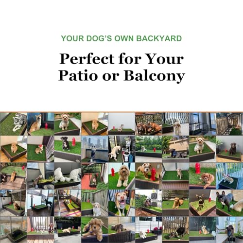 Porch Potty Artificial Grass Potty Pads Without Sprinklers - Standard Size 26x50x7 Reusable Potty Training Pad - Washable Pee Pad for Dogs - Instant Drainage - Quick Absorb - 4x2 Feet Grass Area - size: Standard