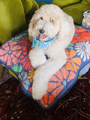 Waterproof Blanket, 29" x 34” - Seat Cover for Dogs and Pets. Ideal for Small and Medium Pet Crate Blankets, Settle mat, Diaper Changing and Playmat for Babies - color: Multicolored