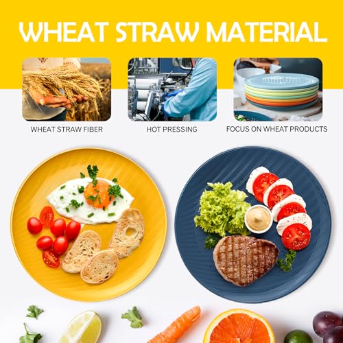 Teivio 16-Piece Wheat Straw Kids Plates,9.6'' Deep Dinner Plate,Dishwasher Safe, Reusable Unbreakable Salad Plates,Dessert Kitchen Plastic Dinner Plates Set,Service for 16,Multicolor ﻿