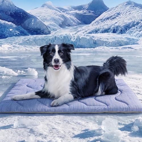 ASENKU Dog Cooling Mat, Portable & Durable Cooling Mat for Dogs, Anti-Slip Breathable Cooling Bed for Medium-Large Dogs 35–60 lbs (Husky, Bulldog, Border Collie), 36x28 inches, Blue Wave - color: Blue, size: Large