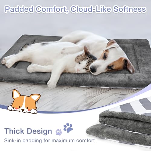 Catalonia Classic Waterproof Dog Mat, Portable Reversible Pet Travel Mat, Pet Cushion Pad with Handle for Small Medium Dogs Cats, Indoor or Outdoor, 80 x 60 cm, Gray Wavy - color: Gray Wavy, size: M(31.5x23.6 inch)
