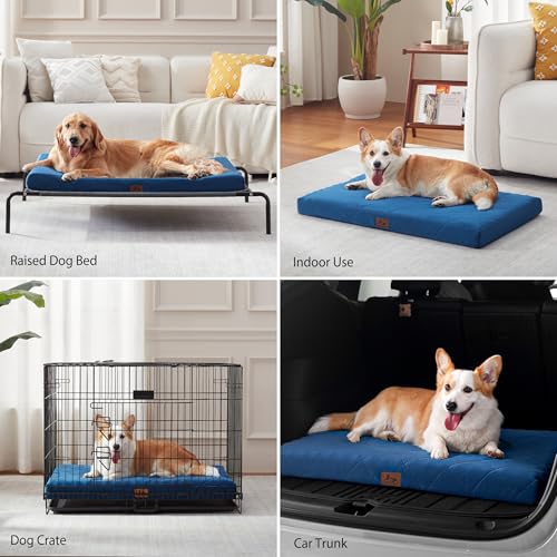 Orthopedic Dog Beds for Small Dogs, Washable Pet Bed Mat with Removable Cover, Waterproof Egg Crate Foam Puppy Bed Anti Slip, 23" x 18", NOT for Chewers - size: 23"L x 18"W x 3"Th