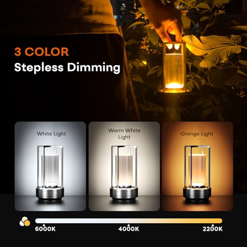 Portable Metal Table Lamp for Indoor/Outdoor ,Rechargeable Cordless LED Lamp, 3-Colour Infinitely Dimming Battery Powered Small Desk Lamp, Restaurant/Bedroom/Bar/Coffee/Camping Light (Grey Set of 2) - color: Grey Set of 2