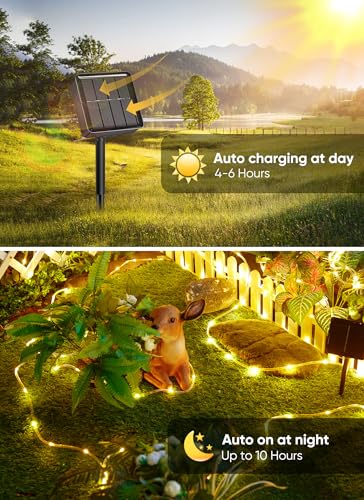 Brightown Solar Rope Lights, 39FT 100LED Outdoor Solar String Lights, IP65 Waterproof Solar Powered Fairy Lights with 8 Lighting Modes for Party Garden Patio Pool Backyard Tree Decoration, Warm White - color: Warm White, size: 100 LED
