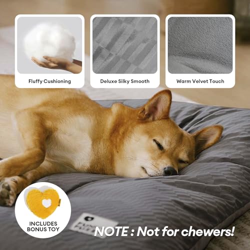 FUNNY FUZZY 24x18 Washable Dog Bed Reversible Crate Mat, 2 in1 Orthopedic Puppy Bed for Small Dogs/Cats, Fluffy Deluxe Kennel Mattress,Sleeping Pad,Charcoal Grey,S - color: Grey, size: 24"×18" Small