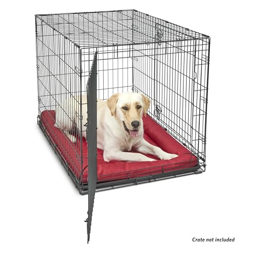 MidWest Homes for Pets Water Repellant Easy Wipe Clean Ultra-Rugged MAXX Dog Beds, Super Durable Dog Bed Designed to Fit 42-inch Dog Crates, Features Slip Resistant Bottom, Part 40542-RD, Red - color: Red, size: 42 Inch