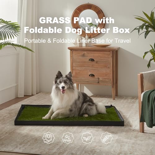 HQ4US 4LEGS Dog Grass Pad with Foldable Dog Litter Box, Extra Large Liner Base (44”×34”) for Balcony, 2 Artficial Grass Pee Pads for Dogs, Pee Pad Holder, Potty Training - size: X-large for Dog＜ 38" Length