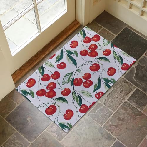 Cherry Pattern Indoor Door Mat for Entryway, 17x29.5 Inch, Vintage Fruit Theme Floor Doormat for Home Decor, Non-Slip Rug Mat for Living Room, Kitchen, Bedroom, Gifts for Cherry Lovers - color: Color74