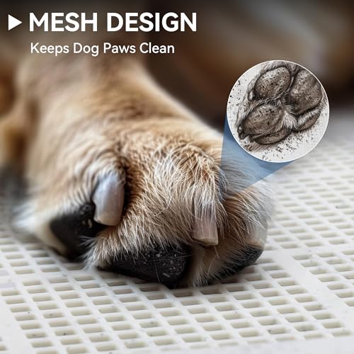 PAWISE Male Dog Pee Pad Holder with High Wall, 23.5"x23.5" Indoor Potty Tray for Medium/Large Dogs, Reusable Large Training Pad Holder with Splash Guard, Includes 4 Pee Pads, Anti-Slip & Easy to Clean