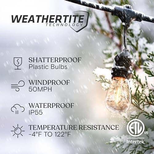Brightech Ambience Pro - Waterproof LED Outdoor String Lights - 15 Hanging, Dimmable 2W Vintage Edison Bulbs - 48 Ft Commercial Grade Patio Lights Create Cafe Ambience in Your Backyard - style: 48 Foot - Warm White (2500K)