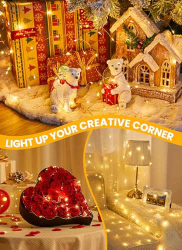 Fairy Lights with Remote, 8 Modes & Timer, 66 Feet 200 Led Christmas Light Twinkle Lights Plug in, Waterproof String Lights for Bedroom Decor Home Girl's Room Garden Party Christmas Decorations - color: Warm White, size: 1Pack - 200 LEDs