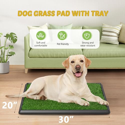 COZIWOW Dog Grass Pad with Tray, 30" x 20" Large Washable Indoor Grass Potty for Puppy Pee Poo Training, Reusable Pet Loo Toilet, 4 Layer System - size: L - 30x20x1.4 IN