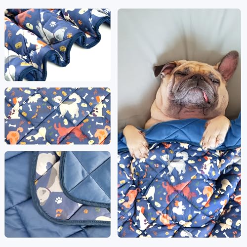 wegreeco Pet Dog Cooling Mat for Cats, Lightweight Bed Outdoor Cooling Blanket for Dogs and Cats, Small Medium Large Puppy Cool Pad for Dogs, Cute XLarge - color: Dog, size: X-Large