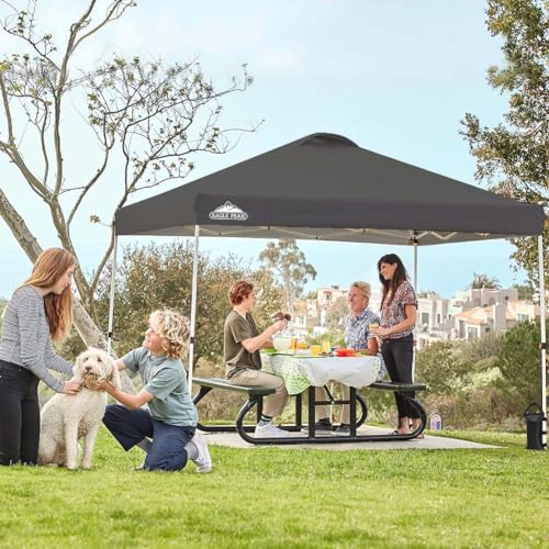 EAGLE PEAK Pop Up Canopy Tent with Wheeled Carry Bag, 8 Stakes, 4 Ropes, 4 Weight Bags, Easy Set Up Tent Canopy, 10x10 ft, 100sqft of Shade, Gray - color: Gray, size: 10x10
