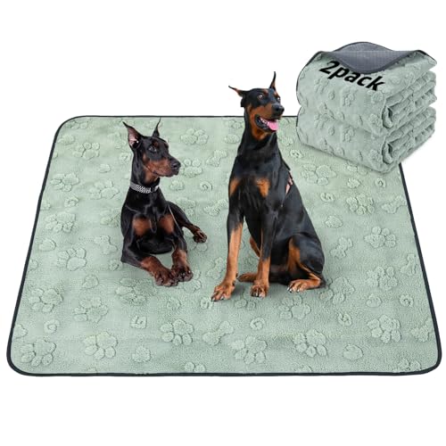 LOOBANI 2 Packs Extra Large Reusable Pee Pads for Dogs,72x72in Non-Slip Washable Puppy Pads, Super Absorbent Pet Whelping Pads, Puppy Playpen Mat for Incontinence, Housebreak, Floor and Bed - color: Green Dog Element, size: 72"x72"(Pack of 2)