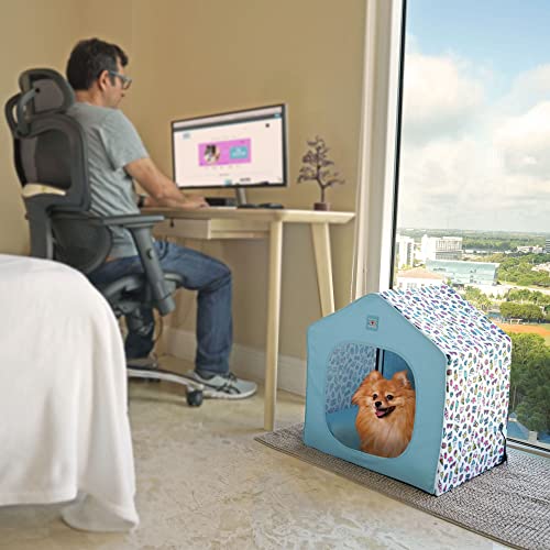 Pawtitas Portable Dog House for Small and Medium Dogs Comes with A Removable Cushion Pet Bed Mat Pillow | Anti-Slip Pad Under The House | Easy to Install, No Tools Or Screws are Required - Teal Comic