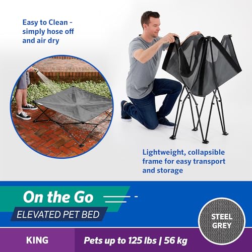 Coolaroo On-The-Go Elevated Dog Bed - Foldable Pop-Up Travel Dog Bed with Breathable, Moisture-Resistant Fabric, Carry Bag Included, Lightweight & Portable, Steel Gray, Extra Large - color: Steel Grey, style: King