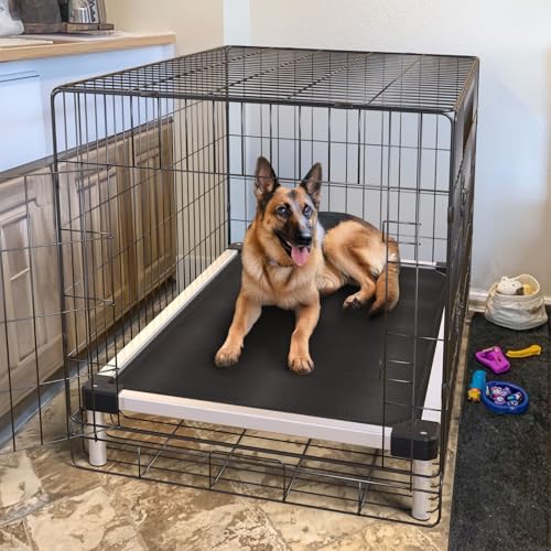 FXW TitanNest Chew-Proof Elevated Dog Bed, Raised Cot for Indoor/Outdoor/Camping Use, Durable & Waterproof Cooling Pet Bed for Large Dogs, 47.0" L x 29.0" W x 7.3" H, Black - size: Large Dog (47.0"l X 29.0"w X 7.3"h)