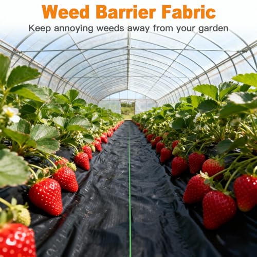 AMAGABELI GARDEN & HOME 3ft x 100ft 3.2oz Weed Barrier Landscape Fabric Garden Cloth Heavy Duty Weed Control Blocker Mat Gardening Ground Cover Durable Woven Geotextile Fabric Driveway Underlayment - size: 3.2oz-3x100ft