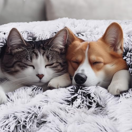 Luciphia Large Waterproof Dog Blanket for Pet Washable Liquid Proof Bed Intimacy Protection Shaggy Plush Calming Long Faux Fur Couch Cover Calming Cat Throw Blankets, Mist Grey, 50" x 60" - color: Mist Grey, size: 50"x60"
