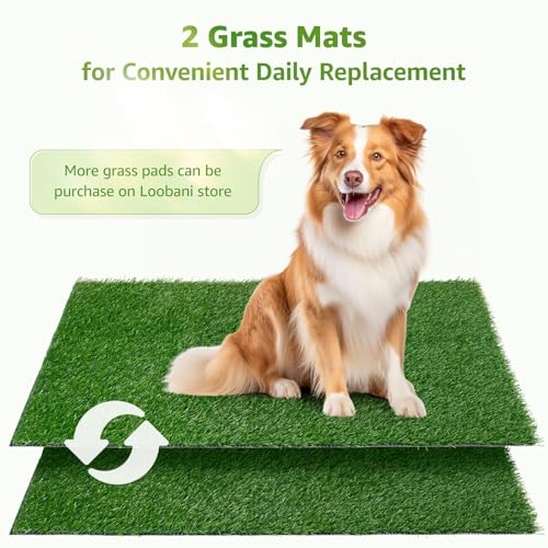 LOOBANI Dog Grass Pad with Tray Large - Dog Litter Box Indoor Potty for Apartment and Patio Training, with 2 Packs Grass Pee Pads for Replacement(Tray Potty 41 * 26.8inch) - size: Tray Potty 41*26.8inch