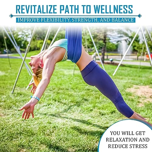 FEBTECH - Aerial Yoga Stand Frame - Heavy Duty Steel Yoga Trapeze Stand Support up to 550 lbs - Portable Indoor Outdoor Arial Stand