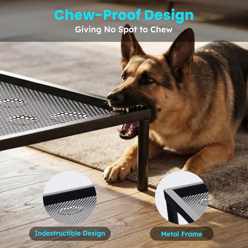 ZOMISIA Chew Proof Elevated Dog Bed for Large Dogs - Raised Pet Cot with Removable Waterproof Padded for Outdoor Use, Indestructible and Washable, 42" L x 27" W x 5" H, Black - size: L - 42"L x 27"W x 5"H