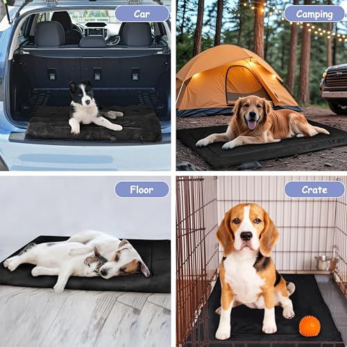 Kritter Planet Waterproof Foldable Dog Bed Pad for Camping & Travel, Portable Roll-Up Dog Bed Car Seat Pet Cushion Mat with Handles for Small & Medium Dogs, Indoor & Outdoor Use - color: Black, size: 31"x24"