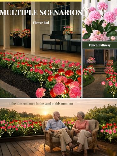 GIGALUMI Solar Lights Outdoor for Garden Decor, 6 Pack Solar Flower Lights Waterproof, 2 Lighting Modes 36 Chrysanthemums for Pathway,Yard, Patio Decoration, Gardening Gifts for Women (Multi-Colored) - color: Multicolor, size: 6 Pack