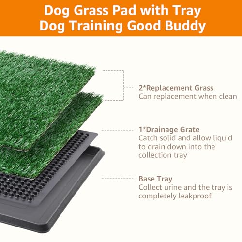 LOOBANI Dog Grass Pad with Tray - Dog Litter Box - Indoor Potty for Apartment and Patio Training - with 2 Packs Grass Pee Pads for Replacement, 20×25 Inch - size: Tray Potty 20*25inch
