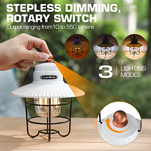 EverBrite LED Camping Lantern, USB C Rechargeable Lantern with 3 Light Modes, Vintage Outdoor Lanterns with Power Bank Function for Power Outages, Hurricane, Emergency, Fishing - color: White