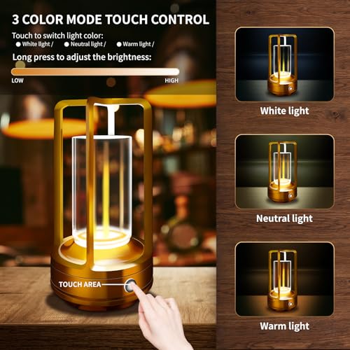 Portable Metal Table Lamp, 4000 mAh Rechargeable Outdoor Table Lamp Cordless, 3 Color Stepless Dimmable Atmosphere Table Lamps for Patio, Camping, Coffee table decor lamp for Indoor/Outdoor - color: Gold