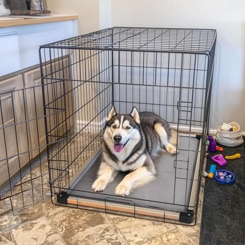 FXW TitanNest Chew-Proof Elevated Dog Bed, Raised Cot for Indoor/Outdoor/Camping Use, Durable & Washable Padded Pet Bed for Medium Dogs, 42.0" L x 27.0" W x 5.0" H, Gray - color: Gray, size: Medium Dog (42.0"l X 27.0"w X 5.0"h)