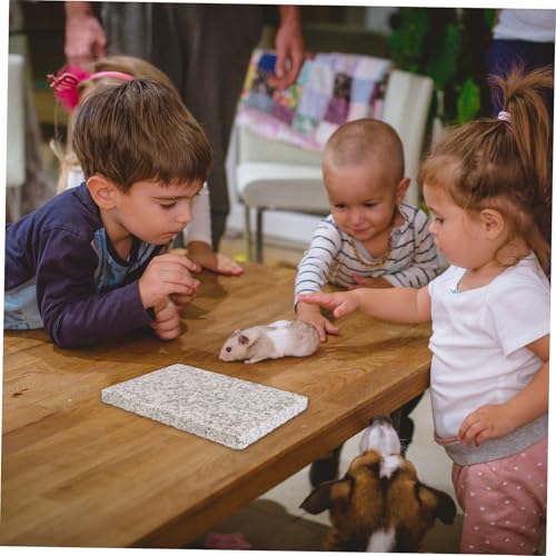 Cooling Marble Board for Hamsters Rabbits Guinea Pigs Summer PET Cooling Plate Non-Toxic Pressure-Activated