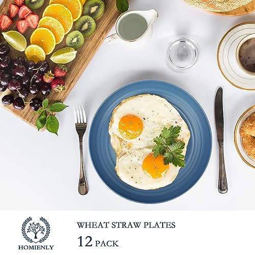 Homienly Deep Dinner Set of 12 - Alternative for Plastic, Microwave and Dishwasher Safe Wheat Straw Plates for Kitchen, Unbreakable Kids (Blue, 9 Inch) - color: 12 PCS Blue, size: 9 IN